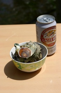807-sazae.jpg