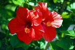 Fotolia_3248188_XS.jpg