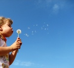 Fotolia_3395120_XS.jpg