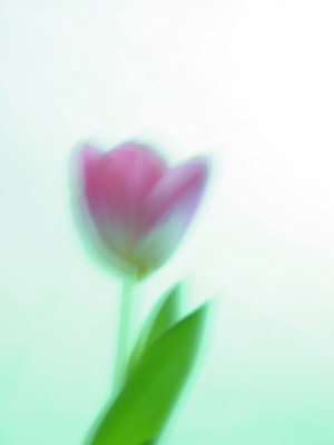 Fotolia_610542_XS.jpg